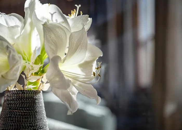 Hotel Zwoelferhaus 4*